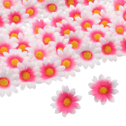 100 pezzi margherite - 100, teste