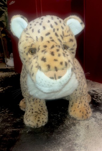 Realistic cheetah - realistic,