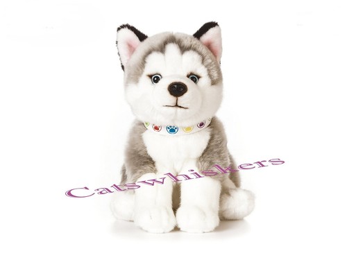 Peluche cucciolo husky seduto