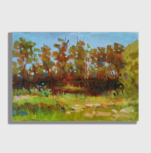 Dipinto olio stagno pittore
