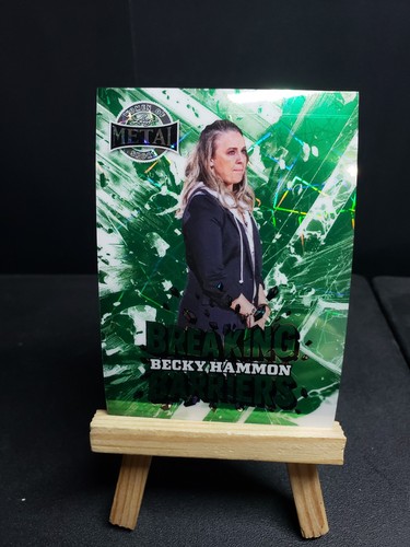 Becky hammon barriere rompi - hammon,