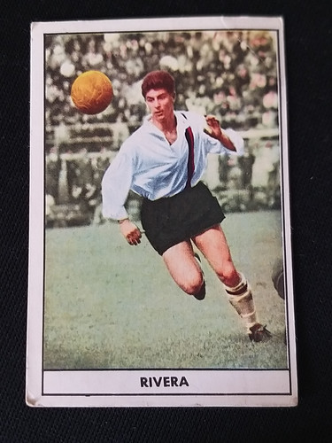 Stella calciatori - ***stella,