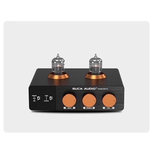 Amplificatore microfono vinile