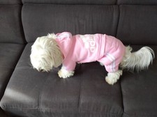 Tuta Cane 5 Chili e Mezzo 