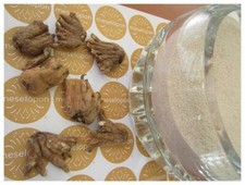 Salep Polvere Crema Naturale