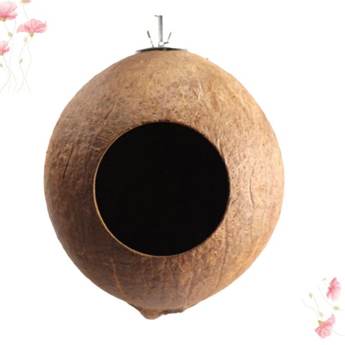 Nido cocco per - di,