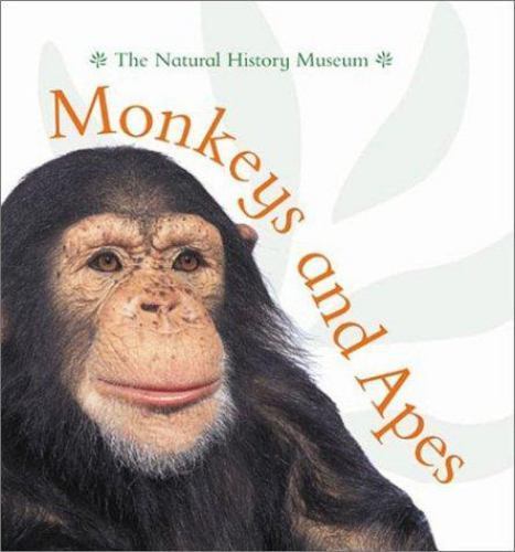 Monkeys and apes - and,