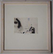 Fusi Walter tecnica mista su