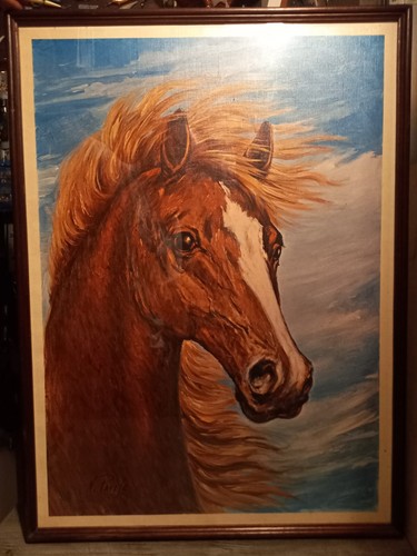 Quadro testa cavallo - ,