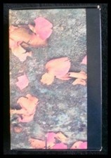 Storie d'amore - Poesie