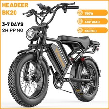 Bicicletta elettrica 750W Fat