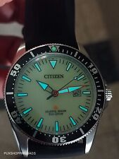 Raro Citizen Promaster Excalibur