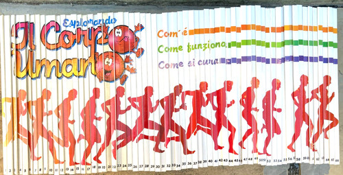 Esplorando corpo umano - esplorando,