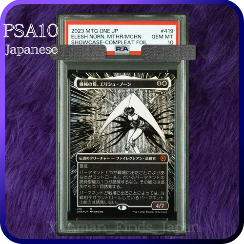 Vetrina psa mtg - 10,
