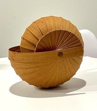 Testa di conchiglia Nautilus