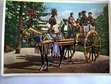 Cartolina Post Card - Carretto Siciliano  - anni '50