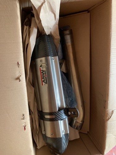 Scarico mivv carbon kawasaki - carbon,