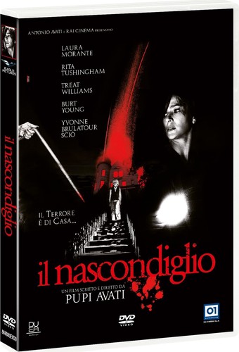 Dvd nascondiglio - dvd, (il)