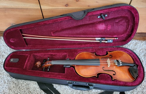 Roth junius rjve violino - &,