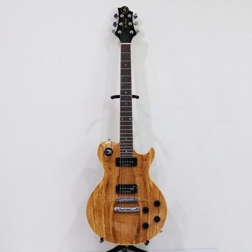 Greg bennett les paul - av-5,