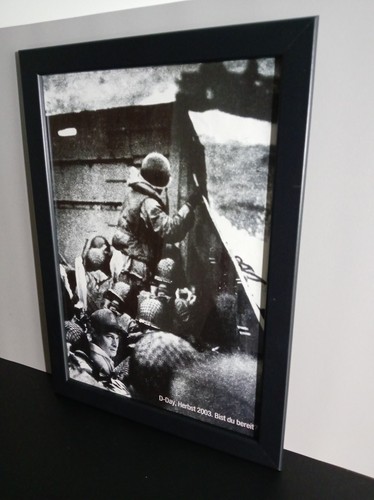 Raro commandos foglio - 3, pc