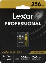 Scheda Lexar Professional
