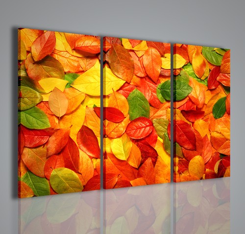 Quadri moderni multicolored - quadri,