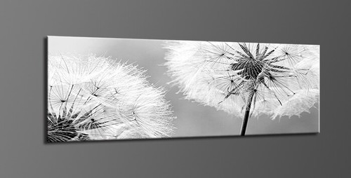 Quadro tela quadri - quadro, moderni