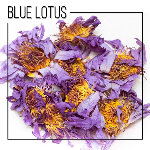 Blue lotus 40g - blue,