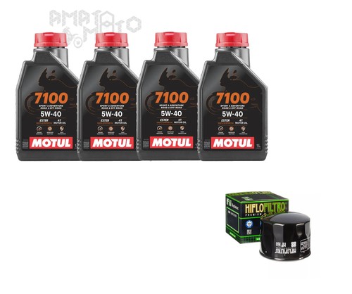 Kit tagliando bmw 1200 gs - bmw, r