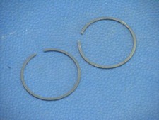 2 Fascia Elastica Del Pistone