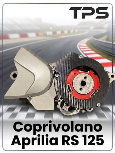 Copri volano carter - volano,