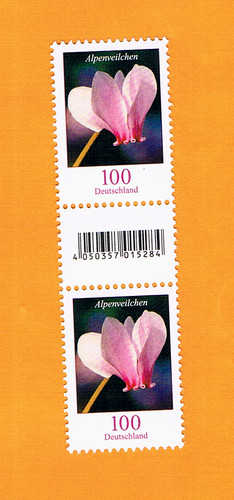 100 veilchen - 100,