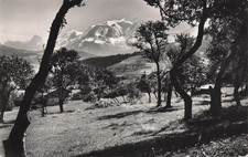 74 COMBLOUX VUE SUR LE MONT BLANC