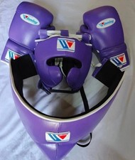 Guantoni da boxe professionali