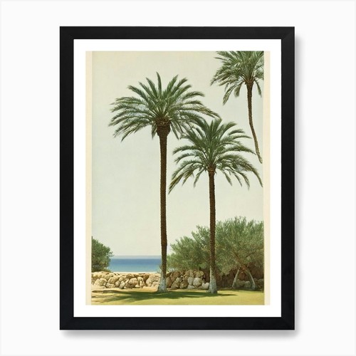 Quadro cala tarida - quadro, ibiza