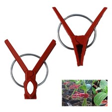 Attrezzi da Giardino Innesto