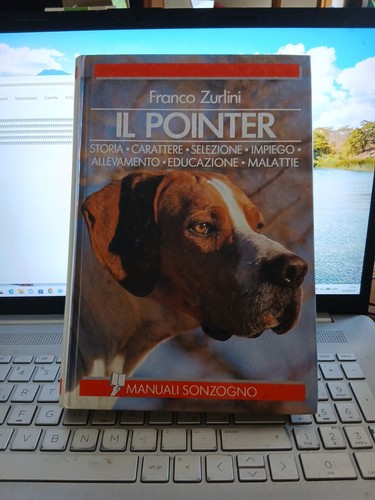 Pointer storia carattere - il,