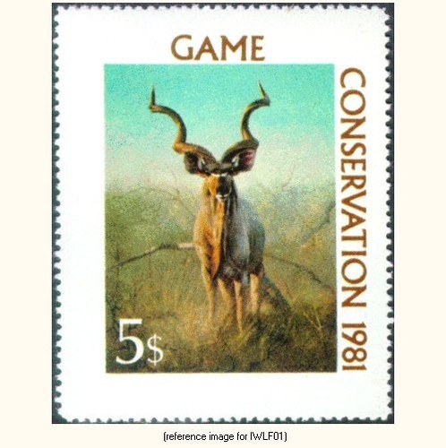 D2k intl wildlife foundation - d2k,