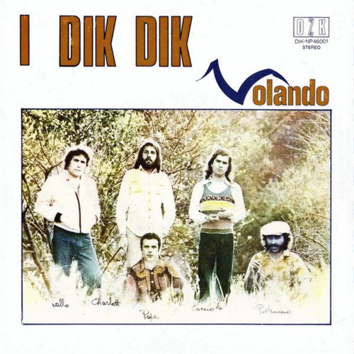 Dik volando - i,