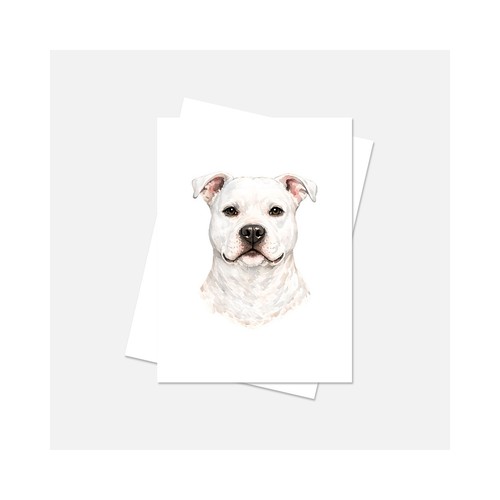 Pitbull dog notecard 4x6 - pitbull,