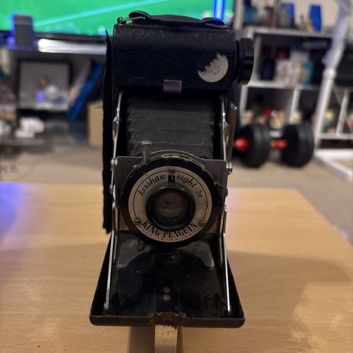 Kershaw otto pinguino - otto-20,