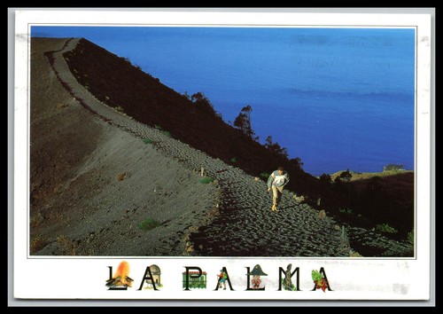 Cartolina palma volcan - cartolina, de