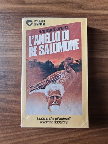 Anello salomone k - l'anello, re