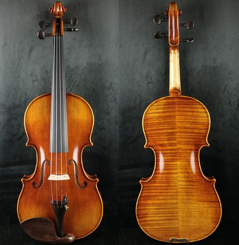 Violino completo professionale