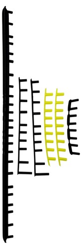 Volkl cell 300 - volkl, 10