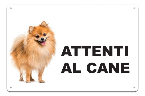 Cartello attenti cane in - attenti,