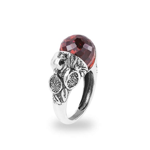 Anello stagioni inverno - stagioni,