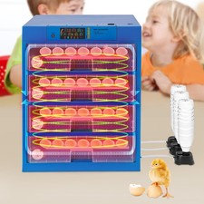 Incubatrice per uova 256