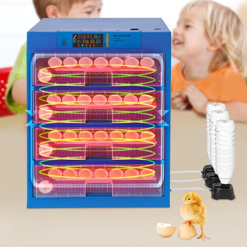Incubatrice per uova - , 256